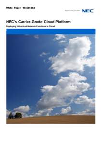 White Paper TENEC’s Carrier-Grade Cloud Platform Deploying Virtualized Network Functions in Cloud  NEC’s Carrier-Grade Cloud Platform, Deploying Virtualized Network Functions in Cloud