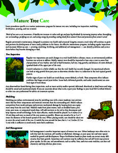 Mature Tree Care Learn procedures specific to a routine maintenance program for mature tree care, including tree inspection, mulching, fertilization, pruning, and tree removal. Think of tree care as an investment. A heal