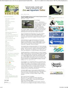 The Wild Dolphin Ecotour at the Florida Aquarium Earned Dolphin SMART Recognition Zoo and Aquarium Visitor News