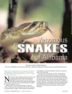 SNAKES of Alabama By Keith Gauldin, Wildlife Biologist Division of Wildlife and Freshwater Fisheries, Alabama Department of Conservation and Natural Resources [Editor’s Note: As a follow-up to the article regarding “