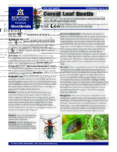 PEST FACT SHEETS 				  MT201604AG New 2/16 Cereal Leaf Beetle Cereal leaf beetle larvae are severe recurrent pests of wheat and other small