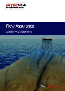 Flow Assurance Capability & Experience Capability Overview Flow assurance encompasses the thermal-hydraulic design and assessment of multiphase production/