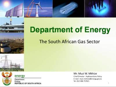 The South African Gas Sector  Mr. Muzi W. Mkhize Chief Director : Hydrocarbons Policy E-mail:  Tel: 