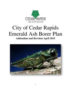 City of Cedar Rapids Emerald Ash Borer Plan Addendum and Revision April