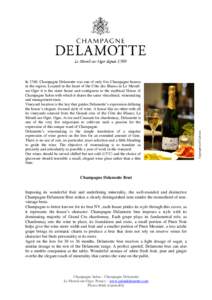 Champagne Delamotte Brut technical sheet