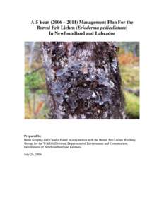 A 5 Year (2006 – 2011) Management Plan For the Boreal Felt Lichen (Erioderma pedicellatum) In Newfoundland and Labrador Prepared by Brent Keeping and Claudia Hanel in conjunction with the Boreal Felt Lichen Working