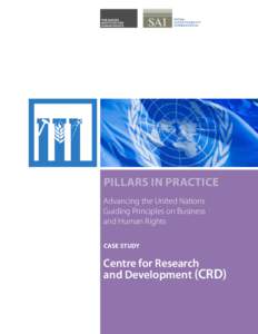 PILLARS IN PRACTICE Advancing the United Nations Guiding Principles on Business and Human Rights CASE STUDY