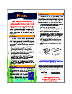 Fleas Fleas are particularly annoying to people and pets, especially during spring and early summer when their numbers tend to increase dramatically. The common flea in California is the cat flea. Despite its name, it at