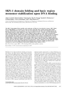 SKN-1 domain folding and basic region monomer stabilization upon DNA binding Adam S. Carroll,1 Dara E. Gilbert,2 Xiaoying Liu,1 Jim W. Cheung,2 Jennifer E. Michnowicz,1 Gerhard Wagner,2 Tom E. Ellenberger,2 and T. Keith 