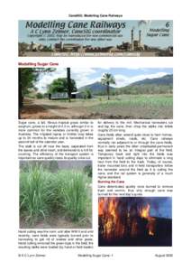 CaneSIG: Modelling Cane Railways  Modelling Sugar Cane Sugar cane, a tall, fibrous tropical grass similar to sorghum, grows to a height of 4.5 m, although 2 m is