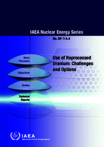 IAEA Nuclear Energy Series No. NF-T-4.4 Basic Principles