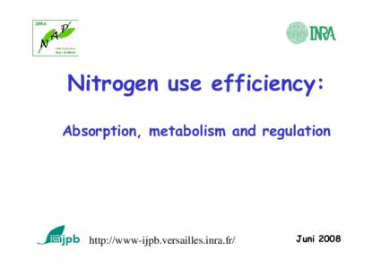 Chemistry / Matter / Nature / Nitrogen cycle / Nitrogen / Industrial gases / Soil science / Mineralization / Fertilizer / Leaching / Nitrate / Soil