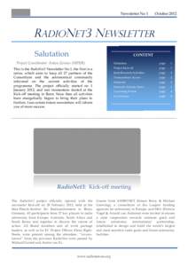 Microsoft Word - RN3_Newsletter layout 1 _30  oct 2012.doc