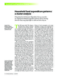 Household food expenditure patterns: a cluster analysis