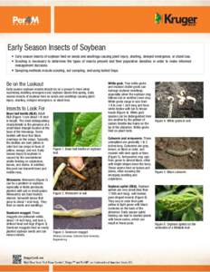    Early Season Insects of Soybean • Early season insects of soybean feed on seeds and seedlings causing plant injury, stunting, delayed emergence, or stand loss. • Scouting is necessary to determine the types of in