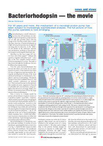 news and views  Bacteriorhodopsin — the movie