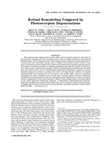 THE JOURNAL OF COMPARATIVE NEUROLOGY 464:1–Retinal Remodeling Triggered by Photoreceptor Degenerations BRYAN W. JONES,1* CARL B. WATT,1 JEANNE M. FREDERICK,1 WOLFGANG BAEHR,1 CHING-KANG CHEN,1 EDWARD M. LEVI