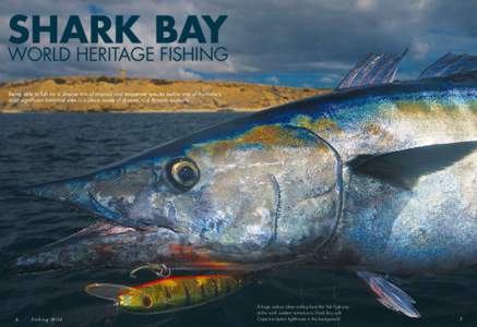 SHARK BAY World Heritage Fishing Being able to fish for a diverse mix of tropical and temperate species below one of Australia’s most significant historical sites is a place made of dreams. Col Roberts explains.