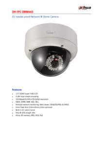 DH-IPC-DBW665 D1 Vandal-proof Network IR Dome Camera Features  