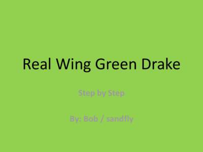 Real Wing Green Drake Step by Step By: Bob / sandfly