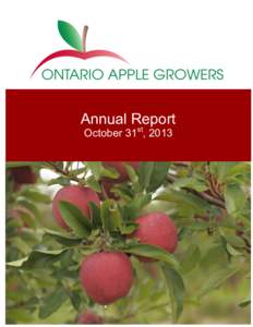 Annual Report October 31st, 2013 Vision Ontario Apples…a healthy consumer… a healthy industry.