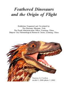 Feathered Dinosaurs and the Origin of Flight Exhibition Organized and Circulated by: The Dinosaur Museum, Utah The Fossil Administration Office, Liaoning, China Beipiao City Paleontological Research Center, Liaoning, Chi