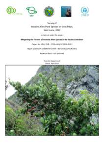 Survey of Invasive Alien Plant Species on Gros Piton, Saint Lucia, 2012 carried out under the project  Mitigating the Threats of Invasive Alien Species in the Insular Caribbean