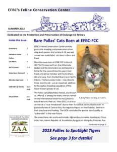 EFBC’s Feline Conservation Center  SUMMER 2013 Dedicated to the Protection and Preservation of Endangered Felines Inside this issue: