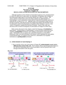 B M B 400  PART FOUR - IV = Chapter 18. Regulation after initiation of transcrition B M B 400 Part Four: Gene Regulation Section IV = Chapter 18
