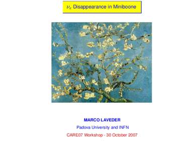  Disappearance in Miniboone  MARCO LAVEDER