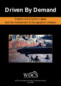Driven By Demand Dolphin drive hunts in Japan and the involvement of the aquarium industry WDCS, the Whale and Dolphin Conservation Society April 2006