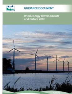 Microsoft Word - Wind_farms_FINAL 15 October 2010 clean _4_.doc