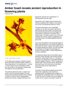 Amber fossil reveals ancient reproduction in flowering plants