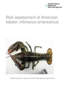 Risk assessment of American lobster (Homarus americanus) Swedish Agency for Marine and Water Management report 2016:4  Risk assessment of the American lobster (Homarus americanus)
