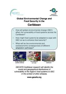 Global Environmental Change and Food Security in the Caribbean •