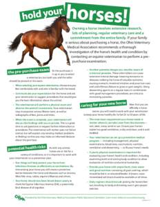 Owning a horse involves extensive research, lots of planning, regular veterinary care and a commitment from the entire family. If your family is serious about purchasing a horse, the Ohio Veterinary Medical Association r