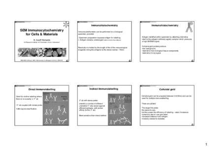 Microsoft PowerPoint - SEM-Immunocytochemistry-11Sep05_ESB2005-Geoff.ppt