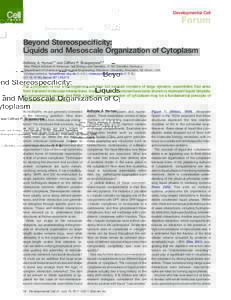 Beyond Stereospecificity: Liquids and Mesoscale Organization of Cytoplasm