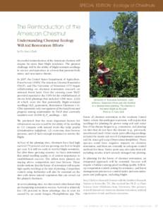 SPECIAL EDITION: Ecology of Chestnuts  The Reintroduction of the American Chestnut Understanding Chestnut Ecology Will Aid Restoration Efforts