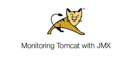 Monitoring Tomcat with JMX  Christopher Schultz Chief Technology Officer Total Child Health, Inc.
