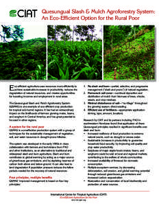 Quesungual Slash & Mulch Agroforestry System: An Eco-Efficient Option for the Rural Poor E  co-efficient agriculture uses resources more efficiently to