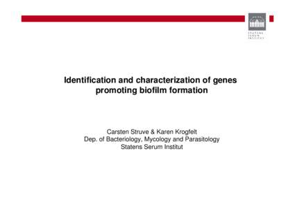 Identification and characterization of genes promoting biofilm formation Carsten Struve & Karen Krogfelt Dep. of Bacteriology, Mycology and Parasitology Statens Serum Institut
