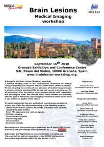 Brain Lesions Medical Imaging workshop September 16th 2018 Granada Exhibition and Conference Centre