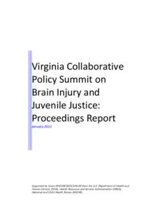 Virginia Collaborative Policy Summit on Brain Injury and Juvenile Justice Report
