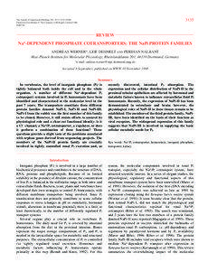 3135  The Journal of Experimental Biology 201, 3135–[removed])