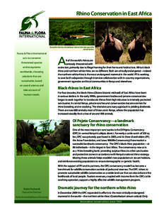 Rhino Conservation in East Africa  Demand for rhino horn for traditional medicine is the lead cause of the animal’s decline.  Fauna & Flora International