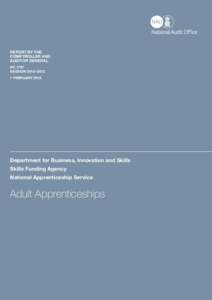 National Audit Office Report (HC): Adult Apprenticeships (full report)