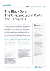 The Black Swan: The Unexpected in Ports and Terminals