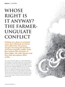 feature | Arati Rao  WHOSE RIGHT IS IT ANYWAY? THE FARMERUNGULATE