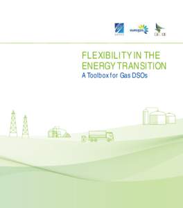 FLEXIBILITY IN THE ENERGY TRANSITION A Toolbox for Gas DSOs FLEXIBILITY IN THE ENERGY TRANSITION